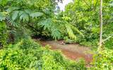 0 Pine Hill Road - Photo 10