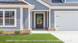 1620 Collins View Way - Photo 3