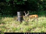 6047 Clifty K Ville Road - Photo 88