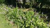 1215 Meadow Rd - Photo 35