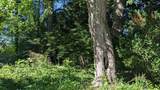 1215 Meadow Rd - Photo 38