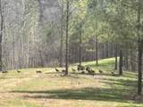 201 Summit Dr - Photo 73