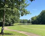 310 Ping Hill Cv - Photo 3