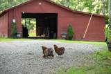 4791 Guys Chewalla Rd - Photo 4