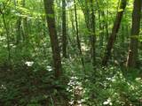 0 Old Altamont Rd - Photo 11