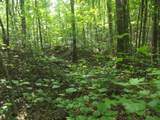 0 Old Altamont Rd - Photo 13