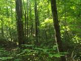 0 Old Altamont Rd - Photo 14
