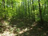 0 Old Altamont Rd - Photo 17