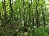 0 Old Altamont Rd - Photo 22