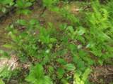 0 Old Altamont Rd - Photo 24