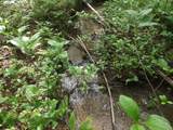 0 Old Altamont Rd - Photo 25