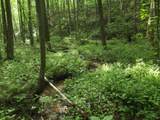 0 Old Altamont Rd - Photo 26