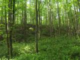 0 Old Altamont Rd - Photo 28
