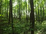 0 Old Altamont Rd - Photo 30