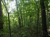 0 Old Altamont Rd - Photo 4
