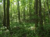 0 Old Altamont Rd - Photo 33