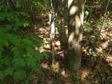 0 Old Altamont Rd - Photo 34