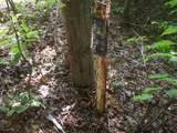 0 Old Altamont Rd - Photo 35