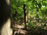 0 Old Altamont Rd - Photo 38