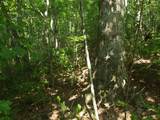 0 Old Altamont Rd - Photo 39