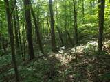 0 Old Altamont Rd - Photo 5
