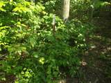0 Old Altamont Rd - Photo 41