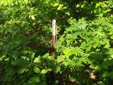 0 Old Altamont Rd - Photo 42