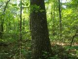 0 Old Altamont Rd - Photo 43