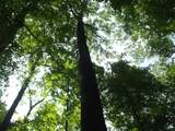 0 Old Altamont Rd - Photo 44