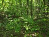 0 Old Altamont Rd - Photo 48