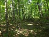0 Old Altamont Rd - Photo 49