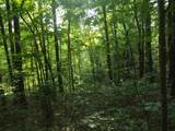 0 Old Altamont Rd - Photo 6