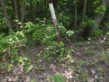 0 Old Altamont Rd - Photo 53