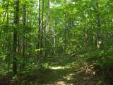 0 Old Altamont Rd - Photo 8