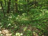 0 Old Altamont Rd - Photo 9