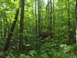 0 Old Altamont Rd - Photo 10