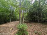0 Model Farm Rd - Photo 17