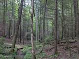 0 Model Farm Rd - Photo 48