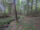 0 Model Farm Rd - Photo 49