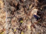 151 Hail Hollow Road - Photo 41
