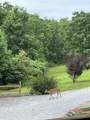 2270 Highway 230 - Photo 48