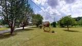 4745 Wildberry Ln - Photo 23