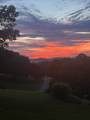 1201 Natchez Rd - Photo 6
