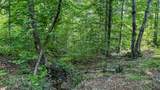 0 Catheys Creek Road - Photo 21