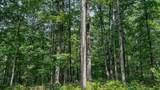0 Catheys Creek Road - Photo 26