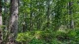 0 Catheys Creek Road - Photo 27