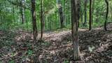 0 Catheys Creek Road - Photo 31