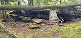 211 10th St - Photo 11