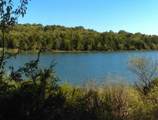 462 Jet Stream Drive - Photo 44