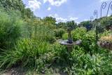 824 Dry Creek Rd - Photo 52